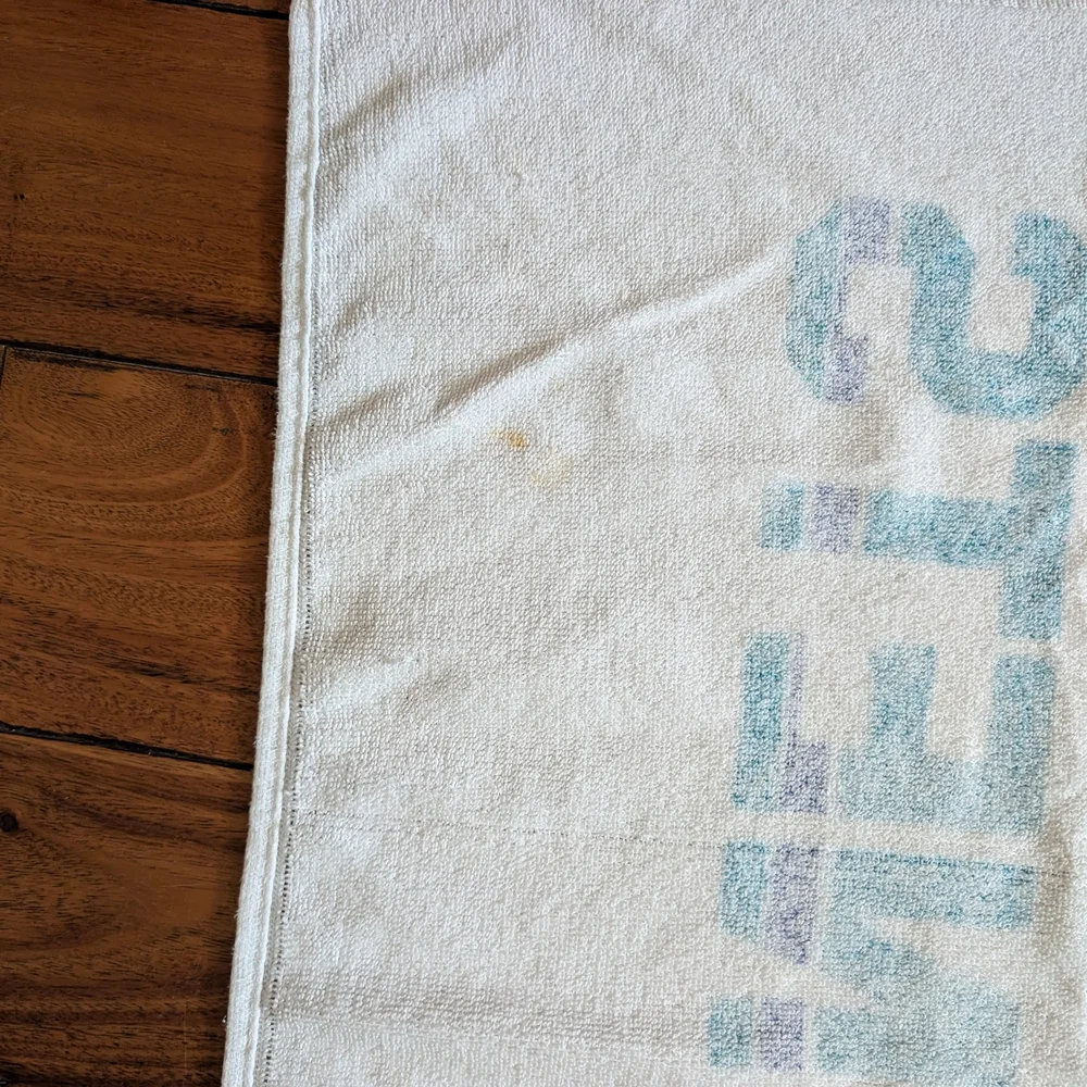 Charlotte Hornets Vintage Beach Towel (OS)
